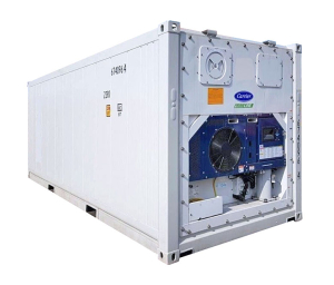 Контейнер рефрижераторный Carrier, 20 футов