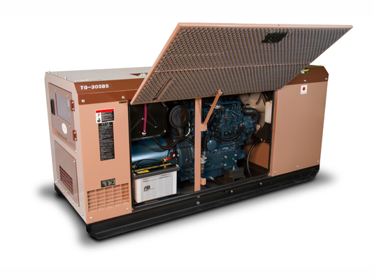 Дизельный генератор Toyo TG-30SBS