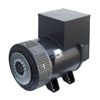 Альтернатор Mecc Alte ECO40-1S/4 B