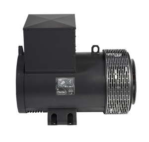 Альтернатор Mecc Alte ECP34-2M/4 C