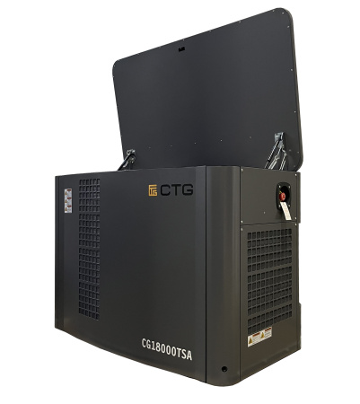 Газовый генератор CTG CG17000TSA