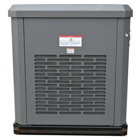 Газовый генератор EVOline GNG 13500 E