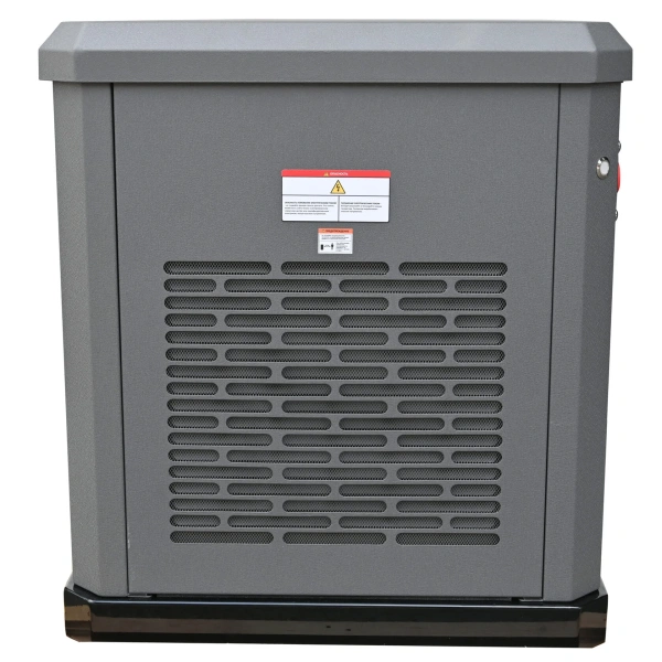 Газовый генератор EVOline GNG 13500 E