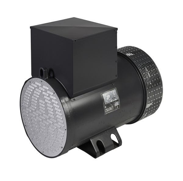 Альтернатор Mecc Alte ECP34-2M/4 C