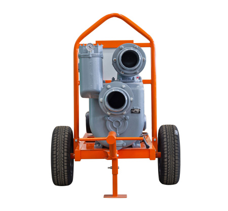 Электрическая мотопомпа Борей-300 ВУ