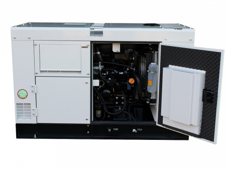 Генератор Yanmar YEG300DSHS-5B