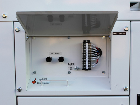 Генератор Yanmar YEG300DSHS-5B