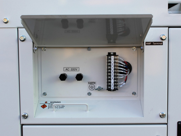 Генератор Yanmar YEG300DSHS-5B