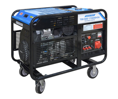 Бензиновый генератор ТСС SGG 17000EH3A