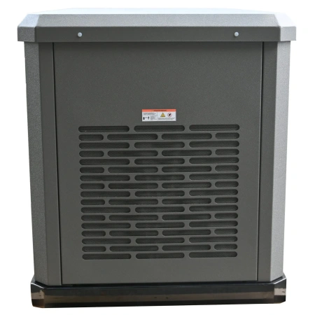 Газовый генератор EVOline GNG 13500 E