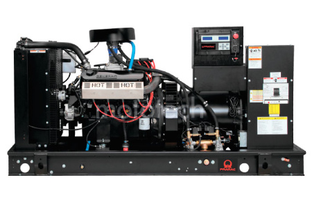Газовый генератор Pramac GGW200G Газовый генератор Pramac GGW200G